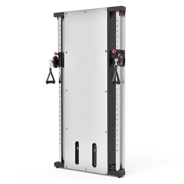 Functional Trainer Wall Mounted Exercise System Wall Mounted