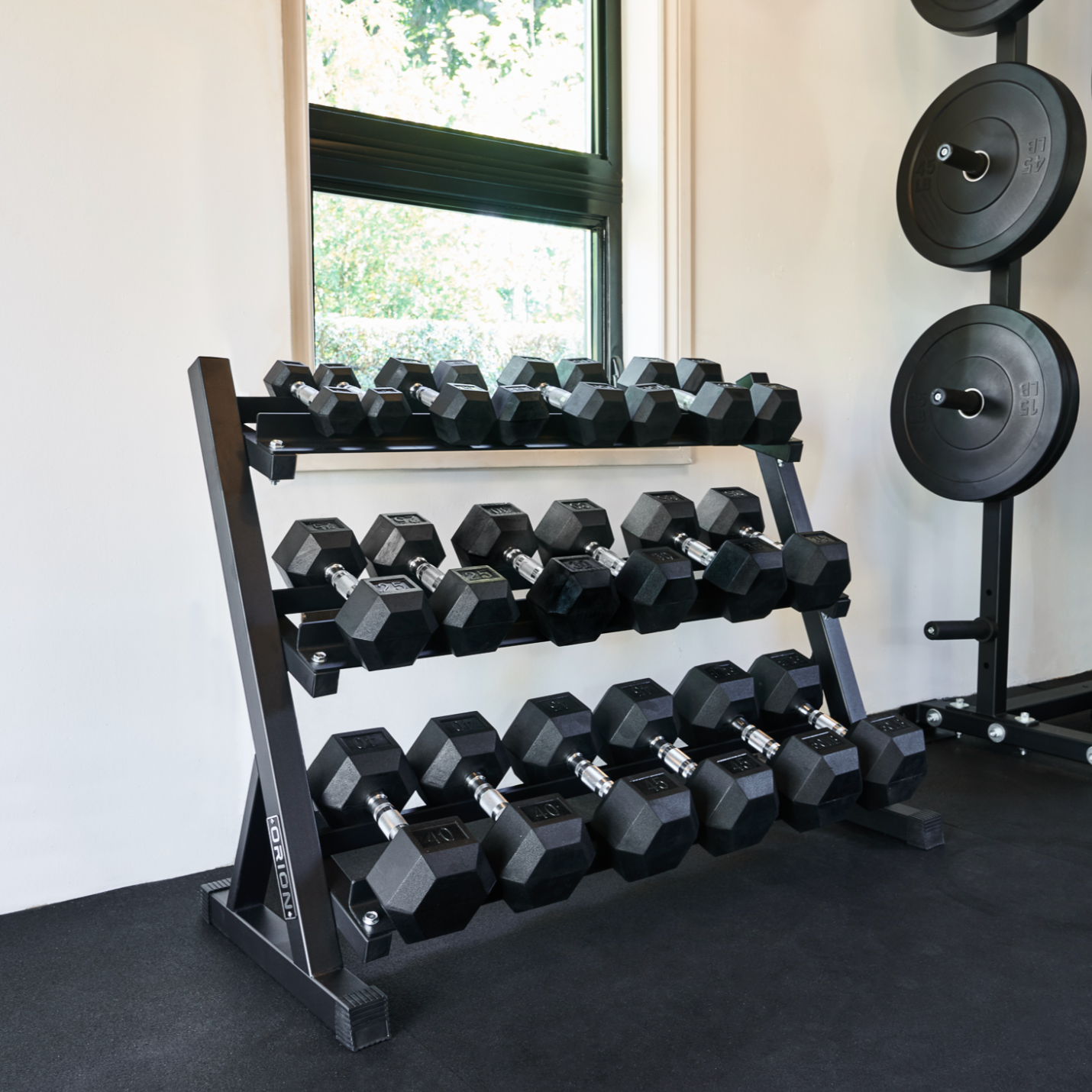 Dumbbells for Sale Canada | Hex Dumbbells & Sets Online – Northern Fitness
