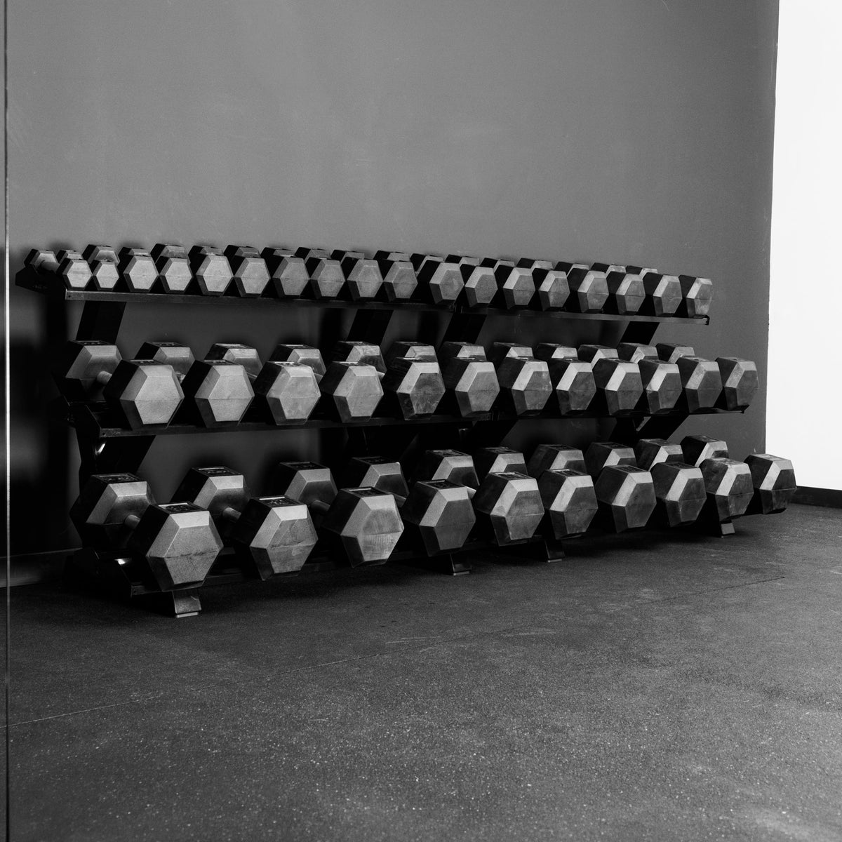 REP Fitness Storage Dumbbell Rack 2.0