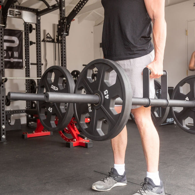 REP Fitness Weight Plates Equalizer Urethane-Coated Plates (Pair)