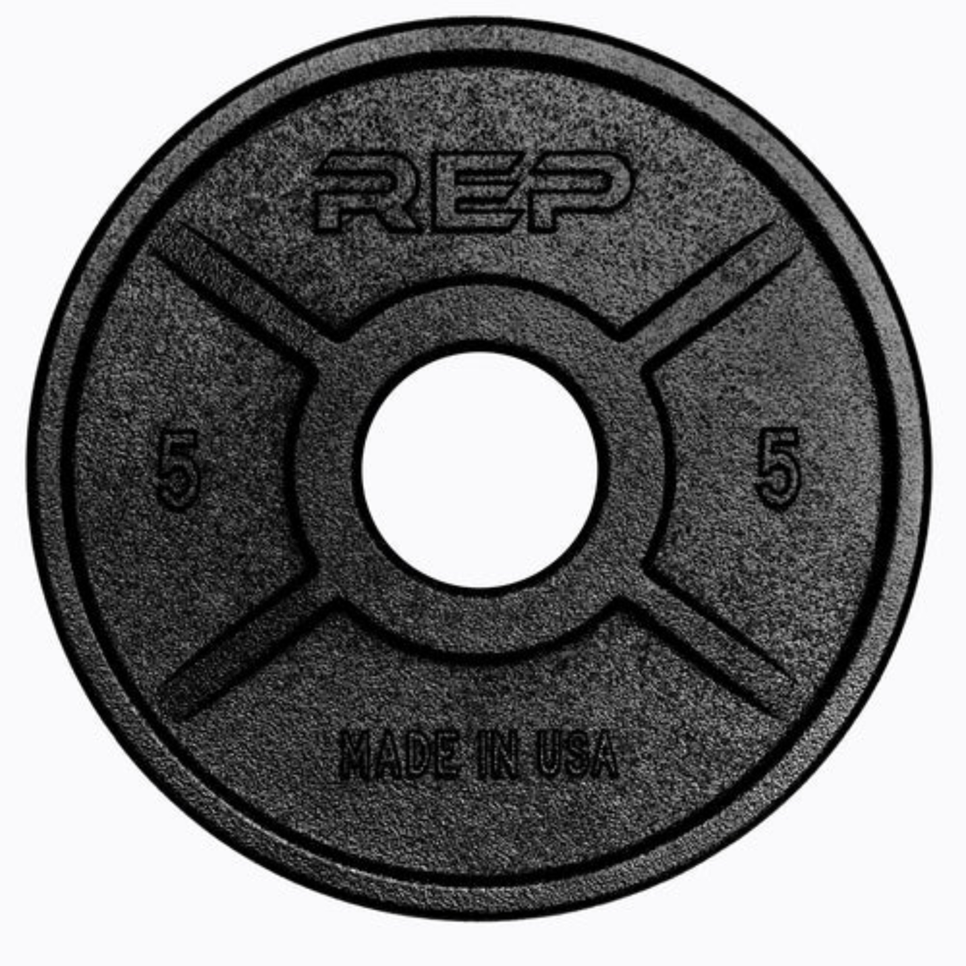 REP Fitness Weight Plates 5 LB Equalizer Iron Plates (Pair)