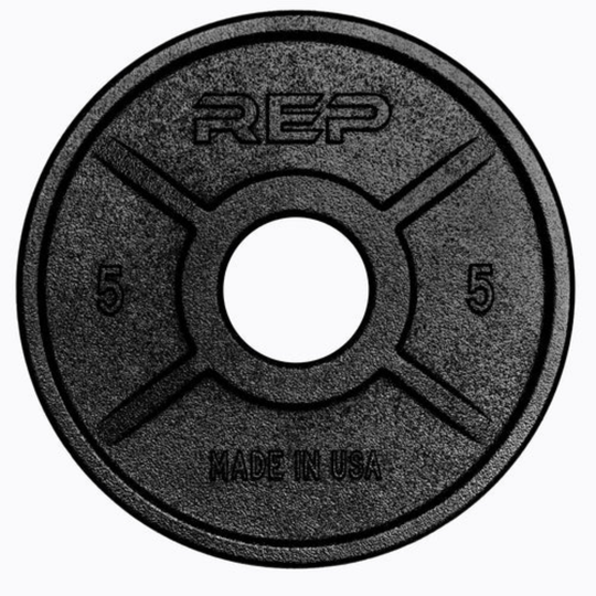 REP Fitness Weight Plates 5 LB Equalizer Iron Plates (Pair)