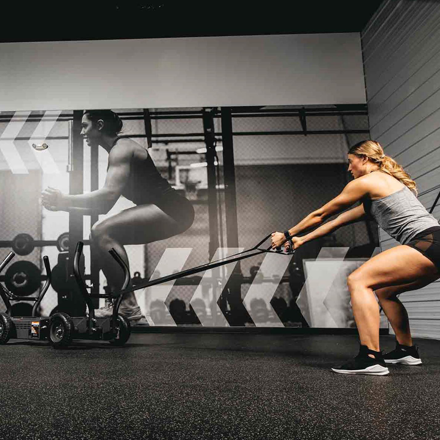 Torque Fitness Push Sleds TANK™ M4 Push Sled