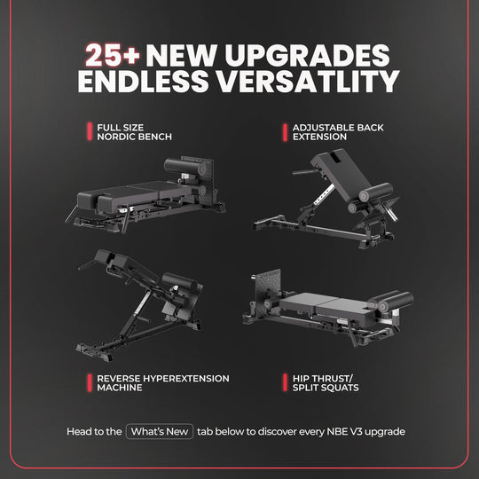 Apex Fitness Leg Machines Nordic Back Extension Machine V3