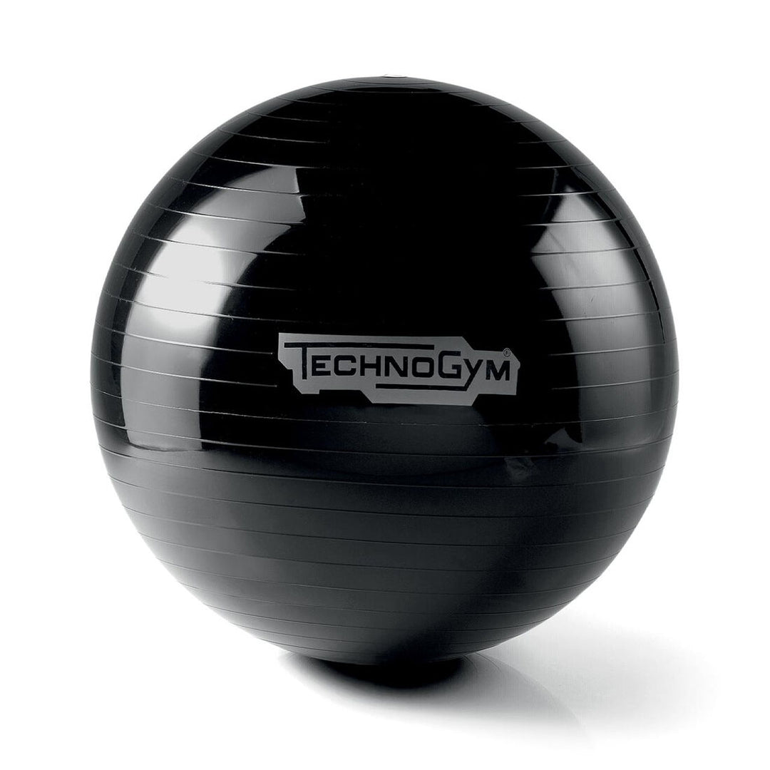 Balance Balltech Balance & Stability Equipment | Northern Fitness