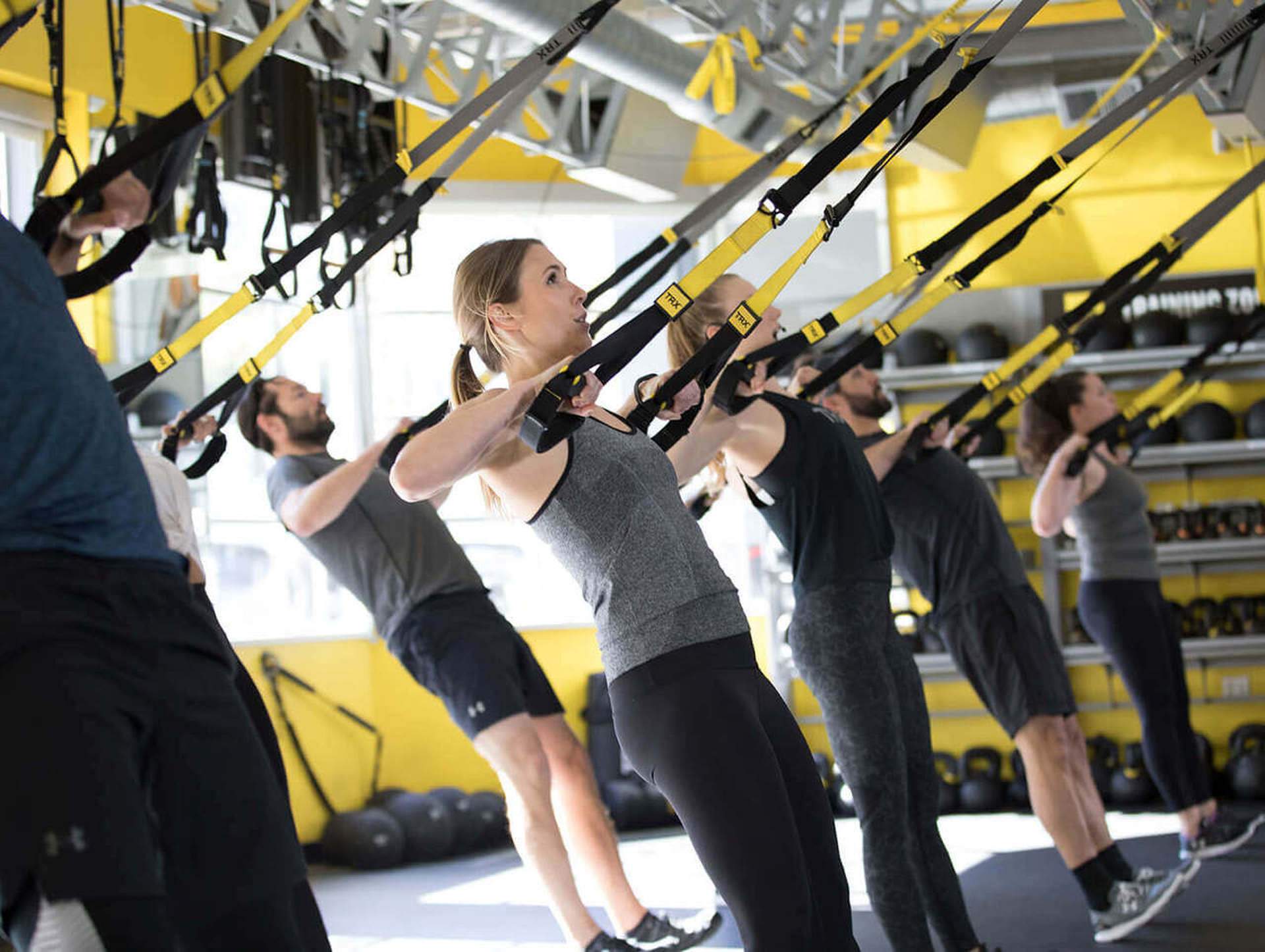 TRX Bodyweight TRX Commercial Suspension Trainer System V4