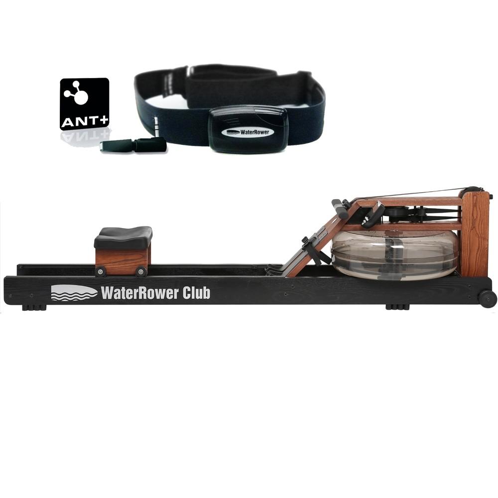 WaterRower Digital Heart Rate Monitoring Kit – Northern Fitness
